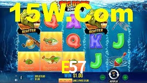 Explore as vantagens do E57: serviço profissional e confiabilidade